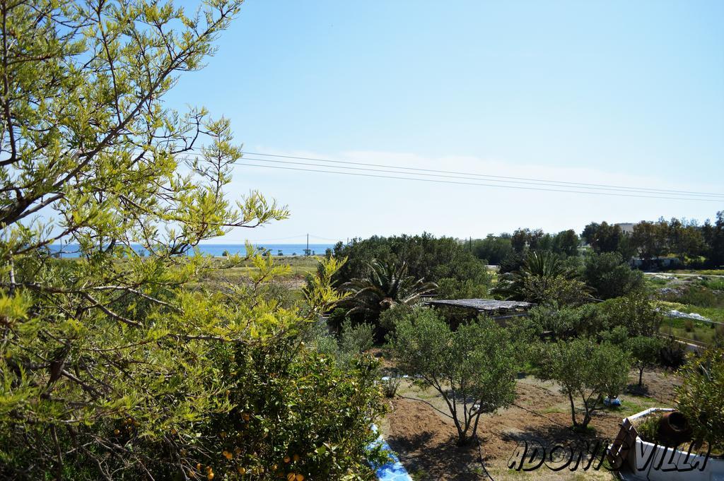 Adonis Villa Koutsounari Exterior photo